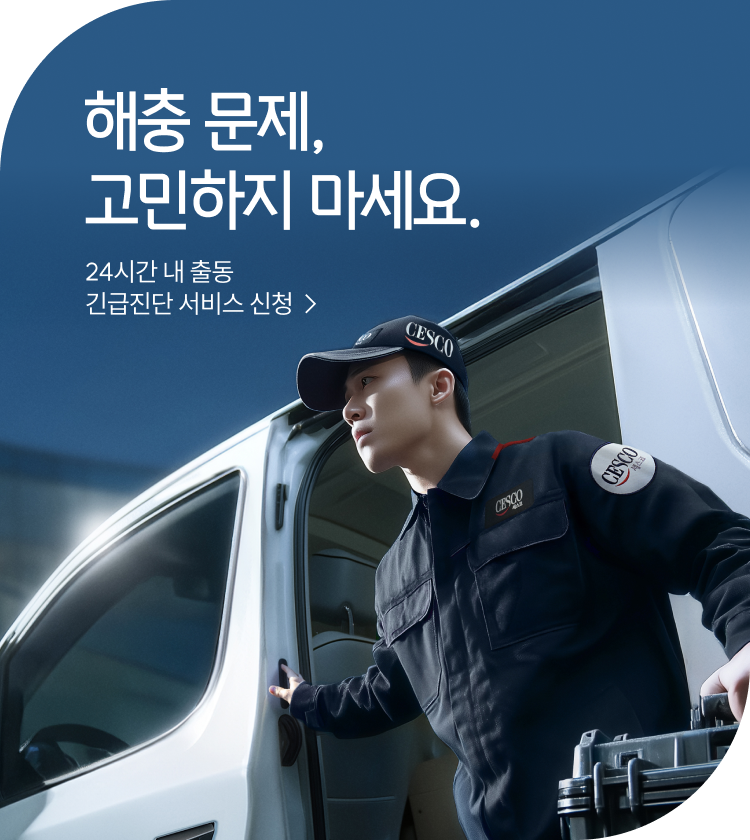 메인비주얼 이미지