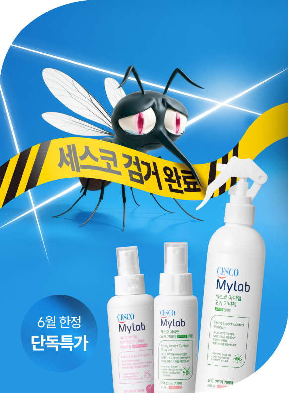 메인비주얼 이미지