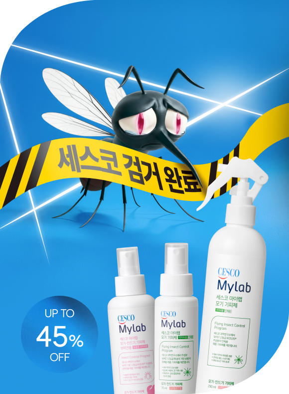 메인비주얼 이미지