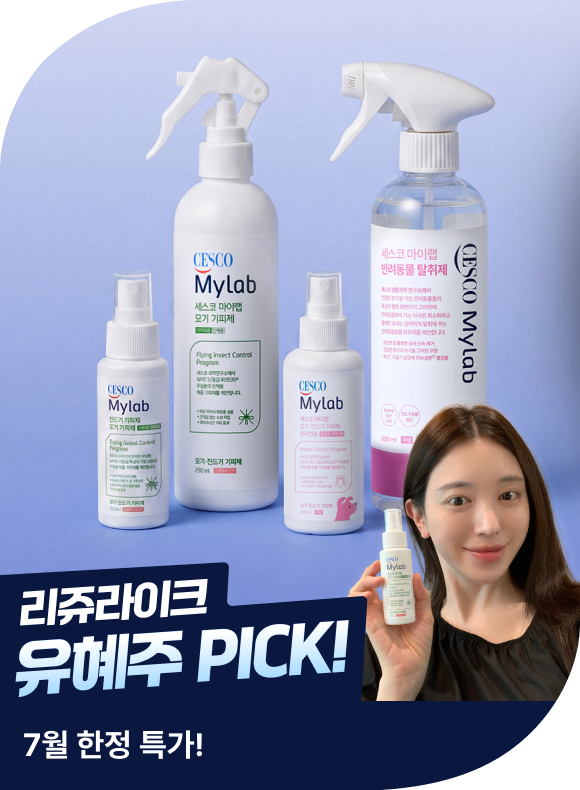 메인비주얼 이미지