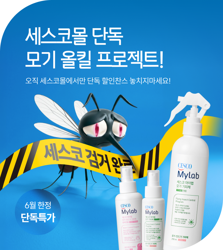 메인비주얼 이미지