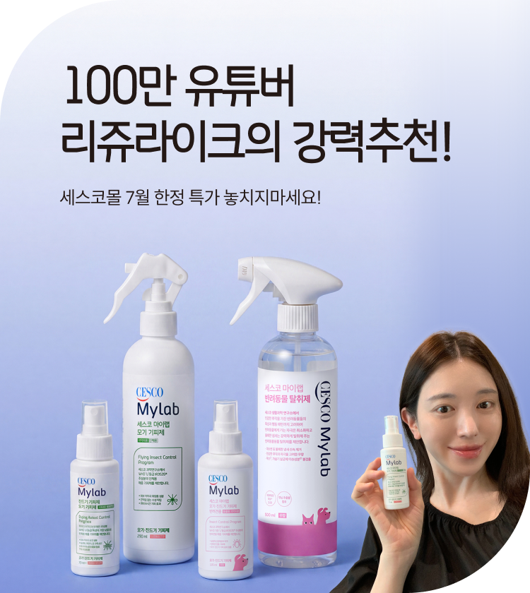 메인비주얼 이미지