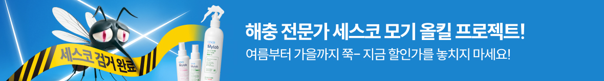 모기 6월 단독특가