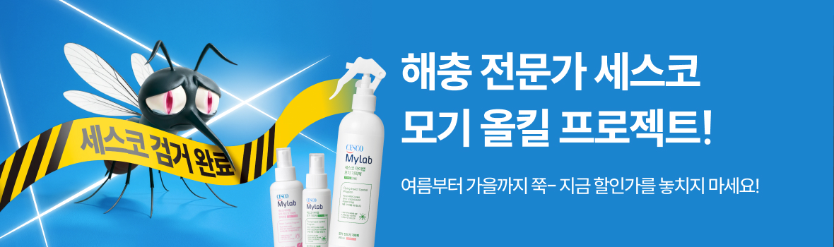 모기 6월 단독특가