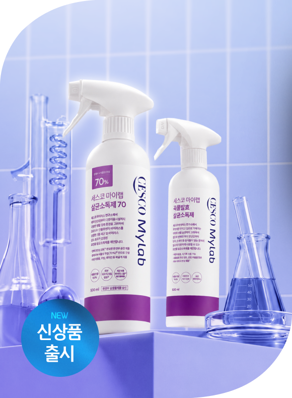 메인비주얼 이미지