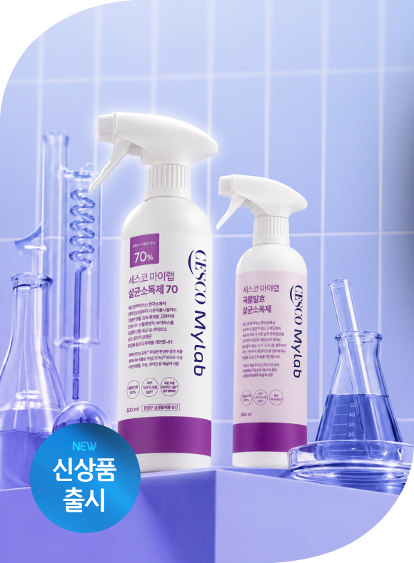 메인비주얼 이미지