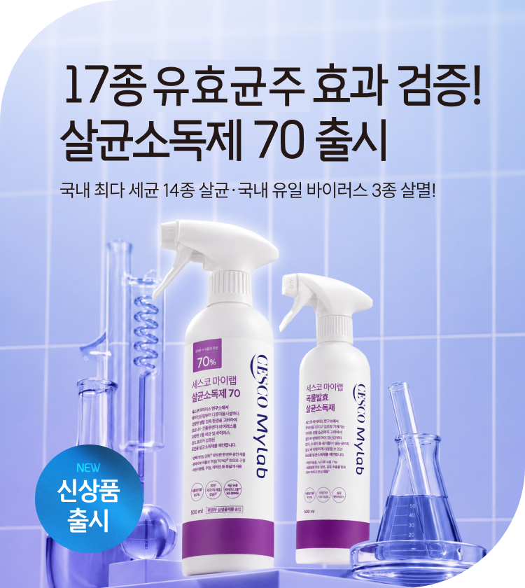 메인비주얼 이미지