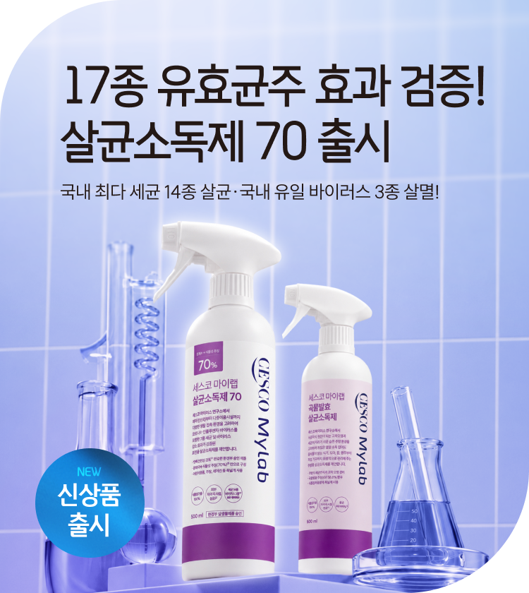 메인비주얼 이미지