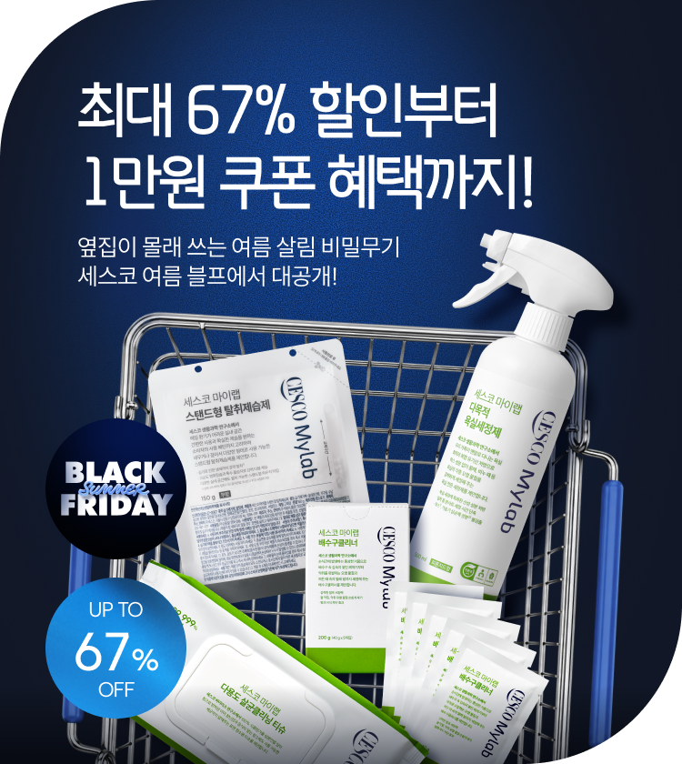 메인비주얼 이미지