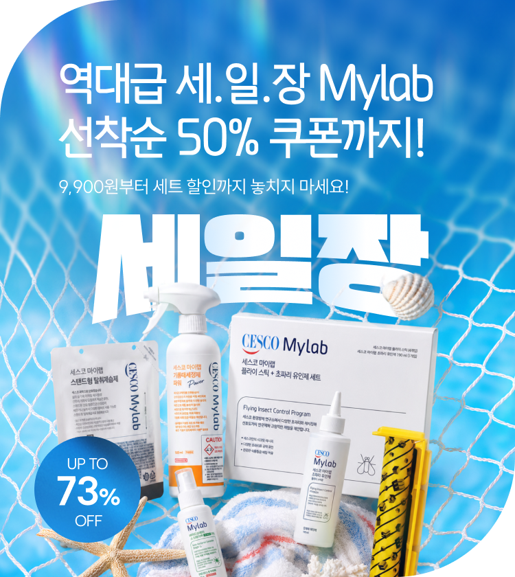 메인비주얼 이미지
