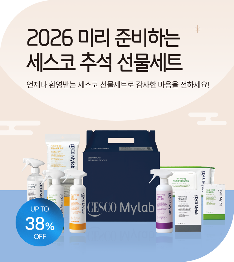 메인비주얼 이미지