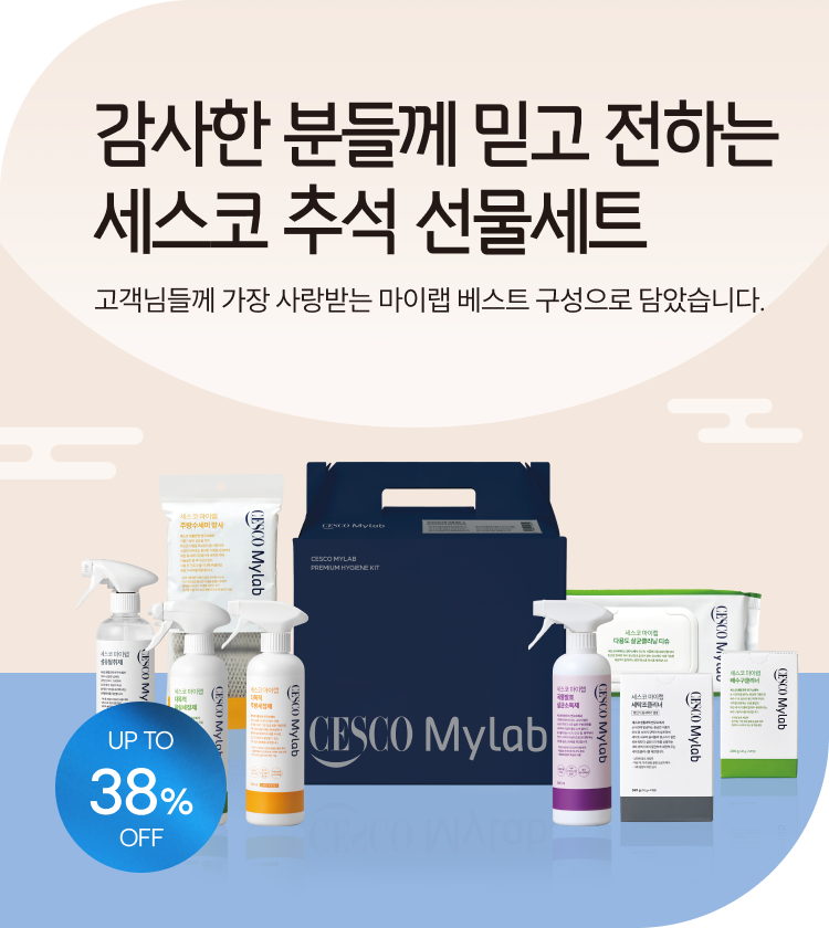 메인비주얼 이미지
