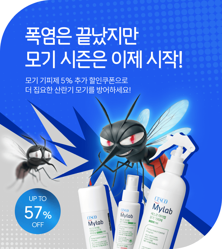 메인비주얼 이미지