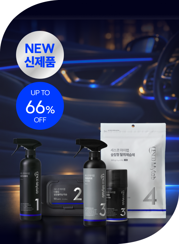 메인비주얼 이미지