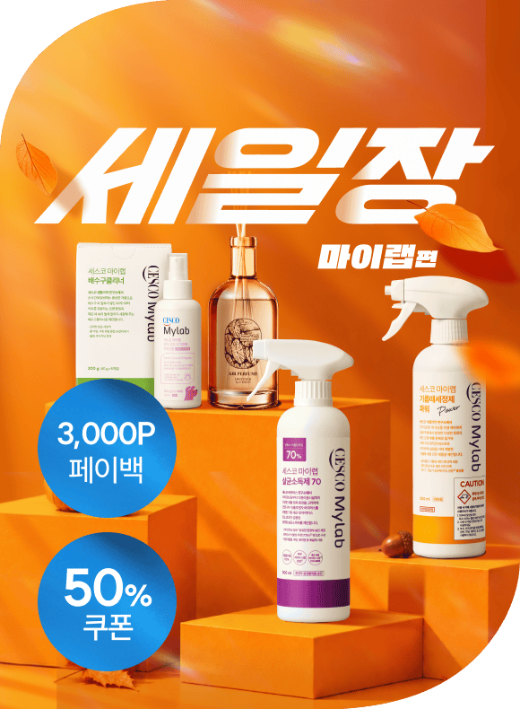 메인비주얼 이미지