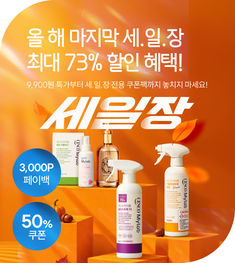 메인비주얼 이미지