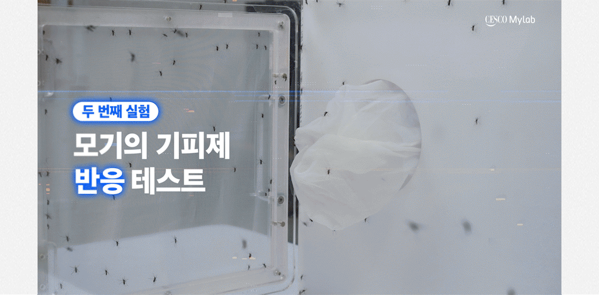 반려견용 모기기피제 테스트 이미지