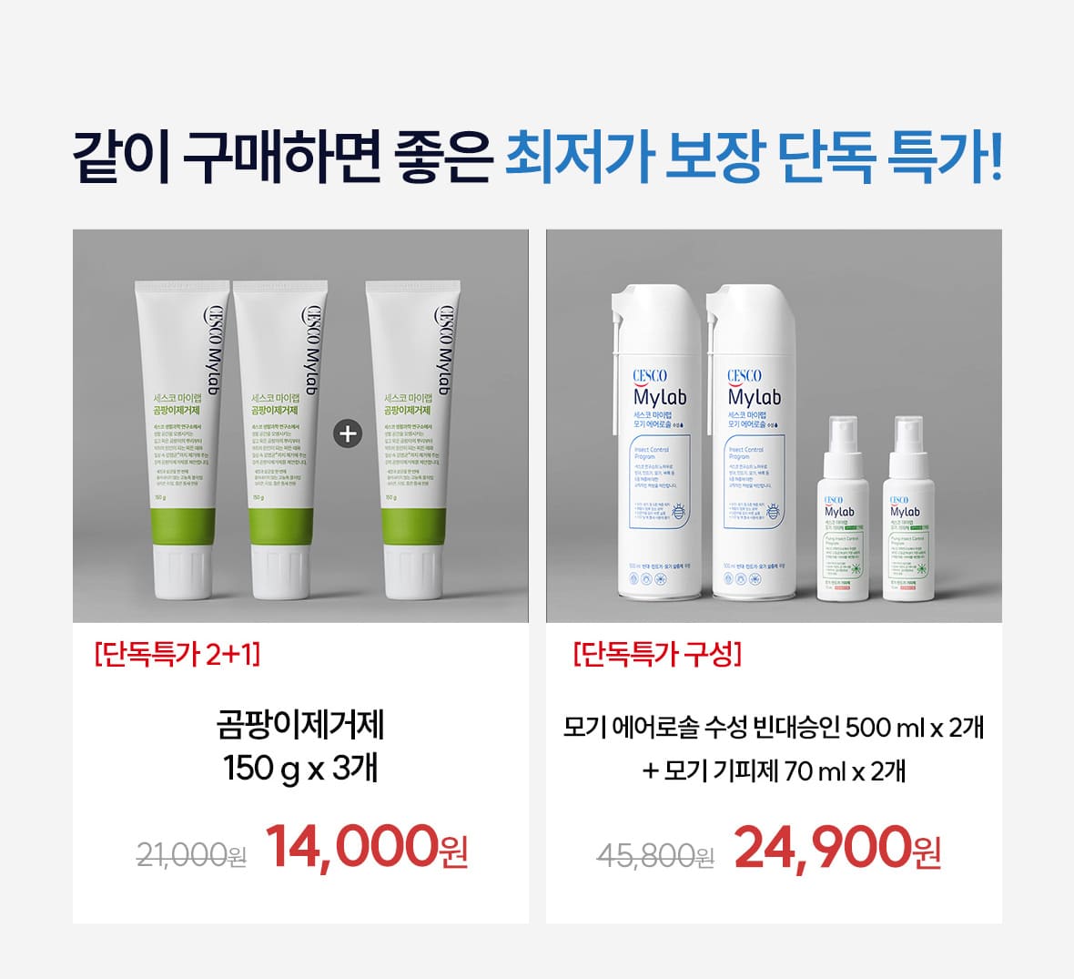 온앱앱6