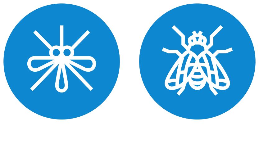 모기 · 파리 아이콘