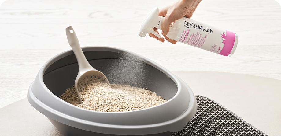 고양이 화장실에 반려동물 탈취제를 뿌리고 있습니다.