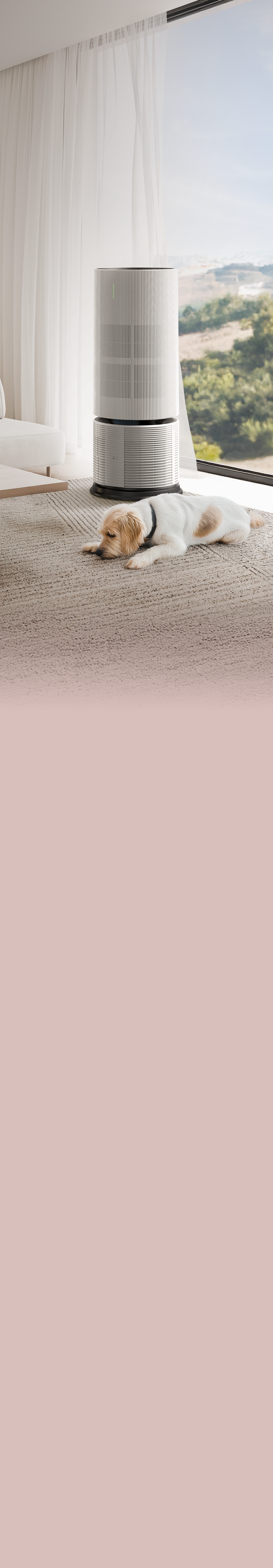 큰 창이 있는 거실에 베이지색 러그 위에 세스코 판테온 공기청정기가 놓여있고 그 앞에 갈색과 흰색 털을 가진 강아지가 엎드려 있습니다.