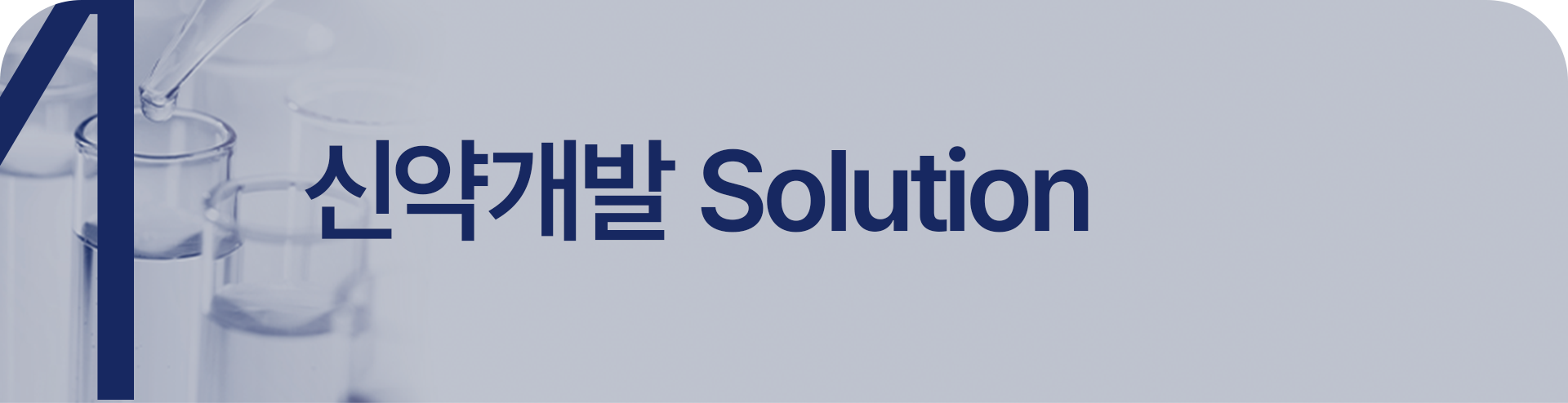 신약개발 Solution