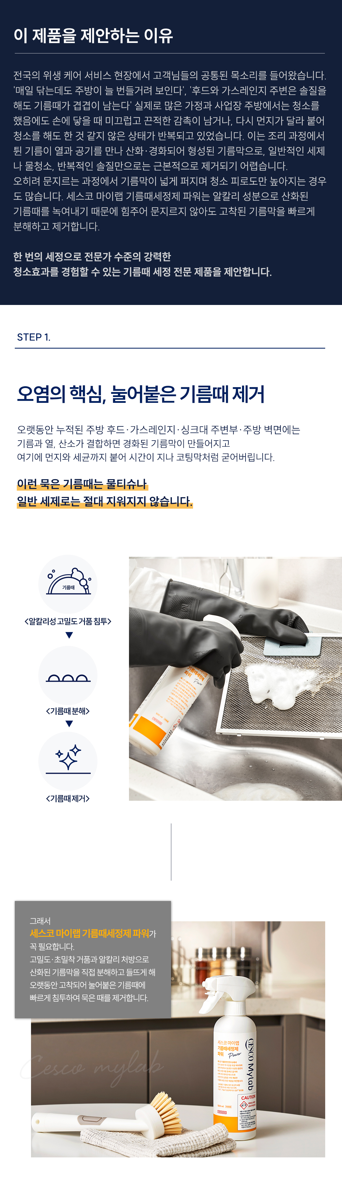 상세정보 이미지