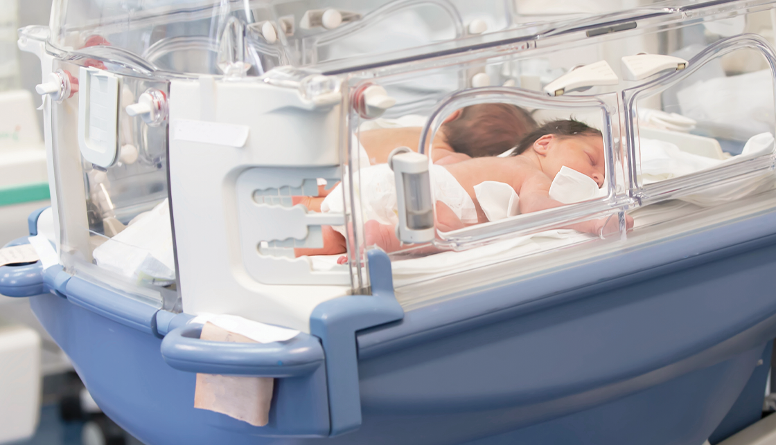 [라이프케어] 인큐베이터에 두명의 신생아가 엎드려 있습니다.