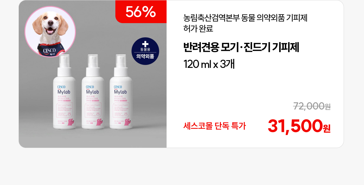 반려견1 
