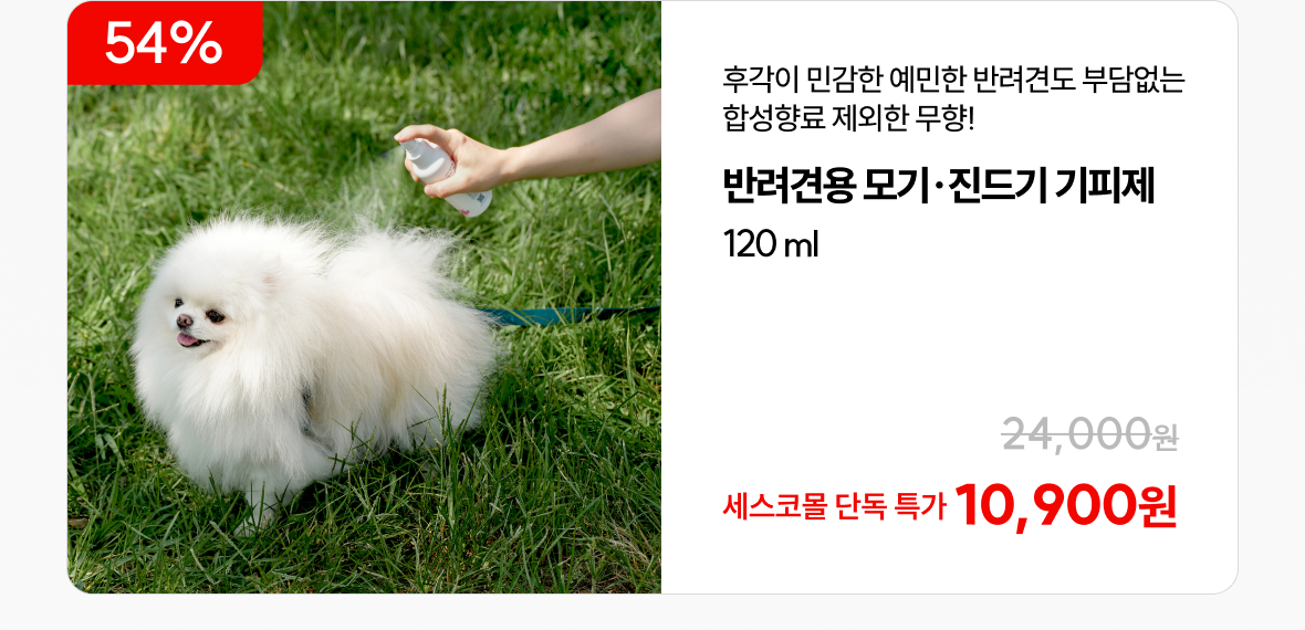 반려견용 1 