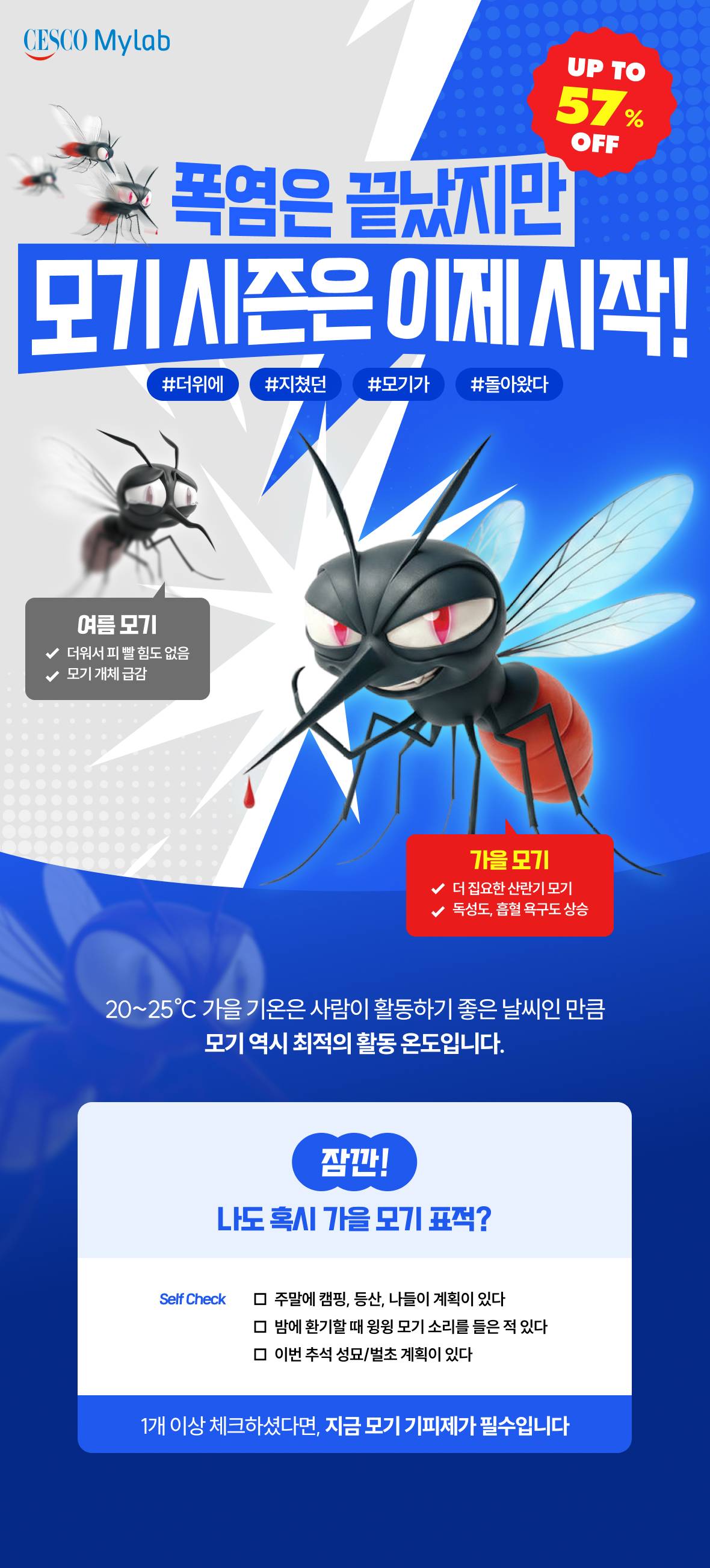 상단이미지
