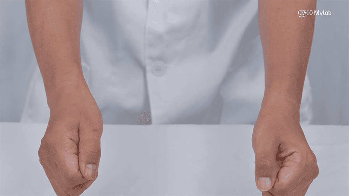 실험이미지