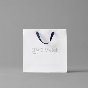 세스코 마이랩 선물세트 종이쇼핑백(대)