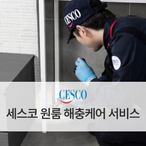 원룸 해충케어 서비스 (8평 이상 ~12평 미만)