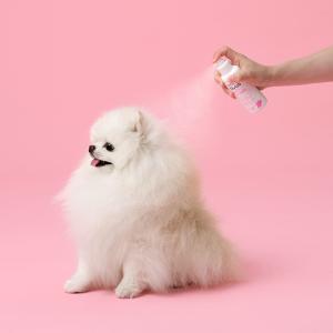 세스코 마이랩 모기·진드기 기피제 반려견용 120ml x 1개