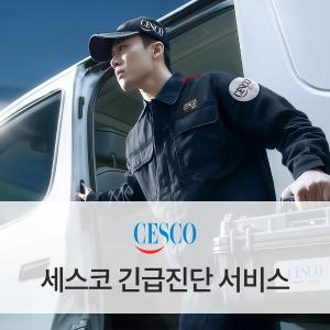 가정집 긴급진단 서비스