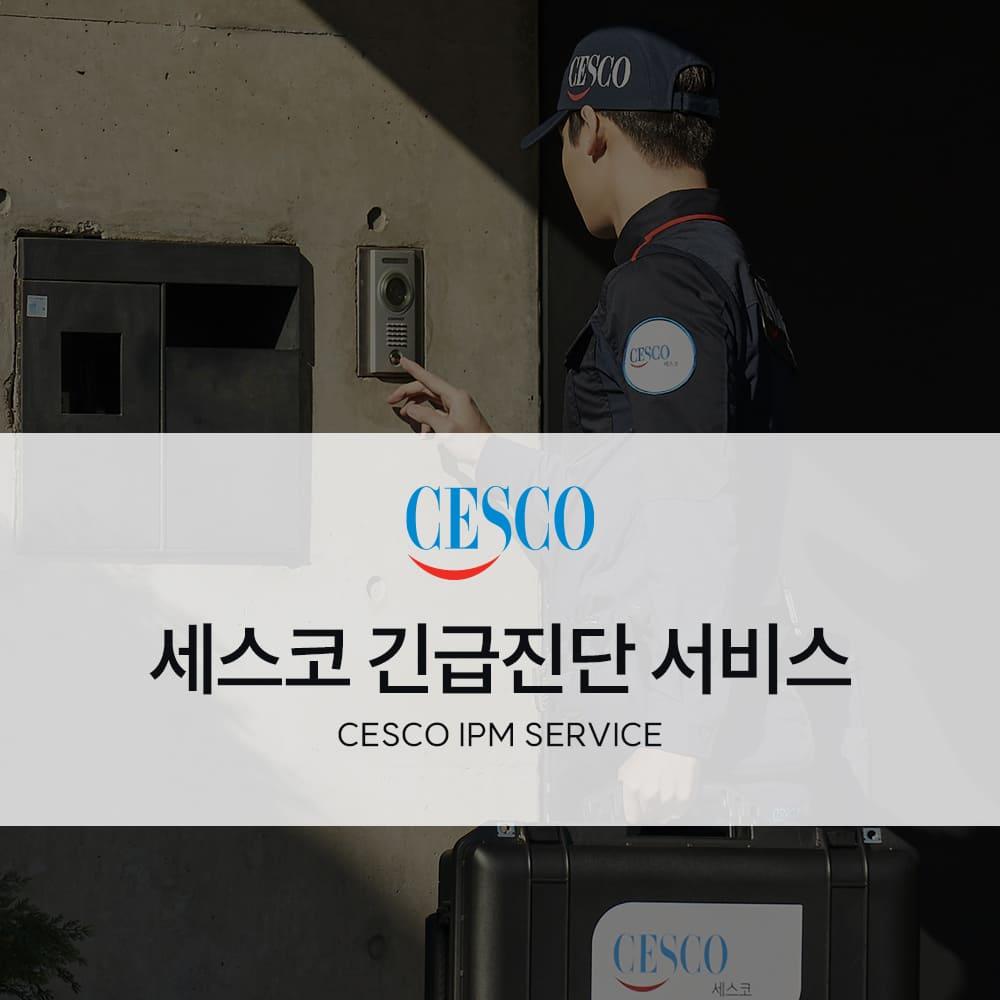 긴급진단 서비스