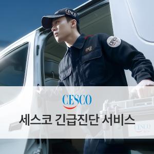 긴급진단 서비스
