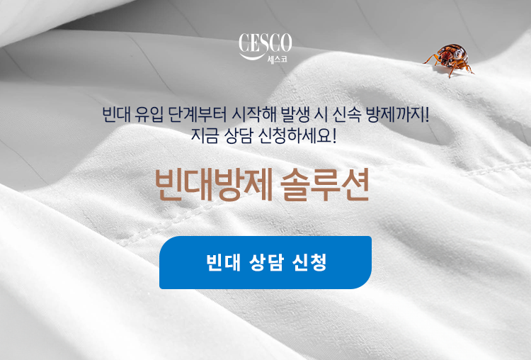 모바일용 이미지