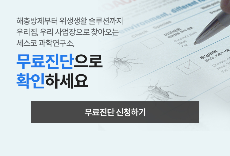 모바일용 이미지