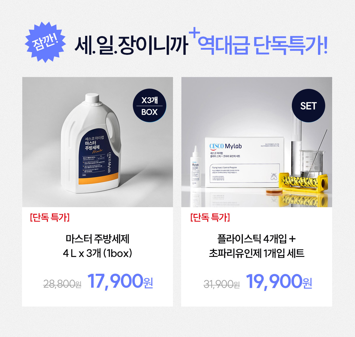 잠깐! 역대급 단독특가