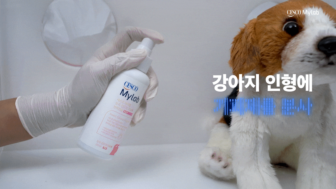 모기기피제 반려견용 테스트 gif이미지