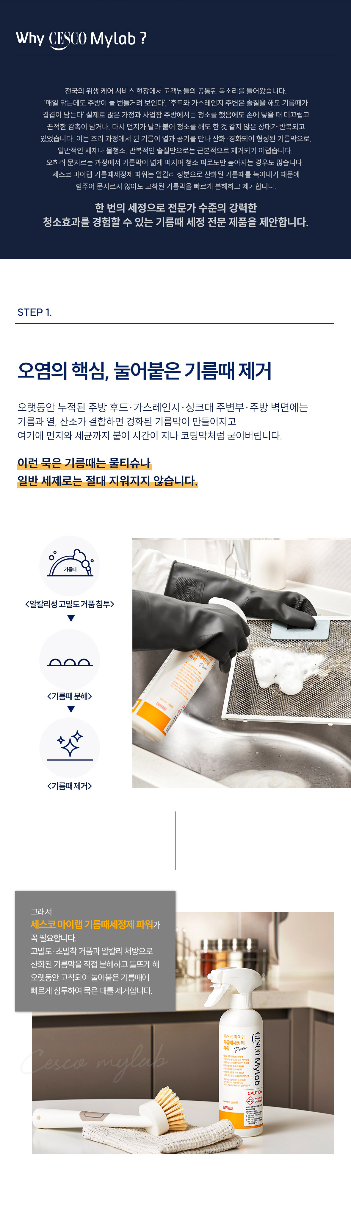 상세정보 이미지