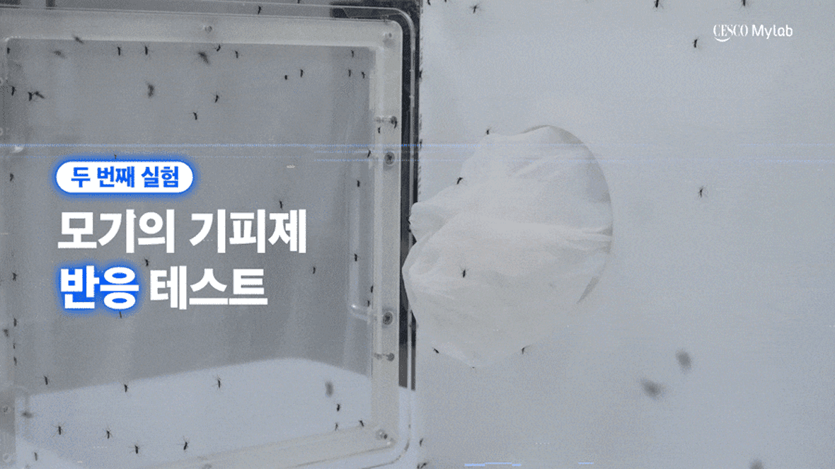 모기기피제 테스트 gif 이미지