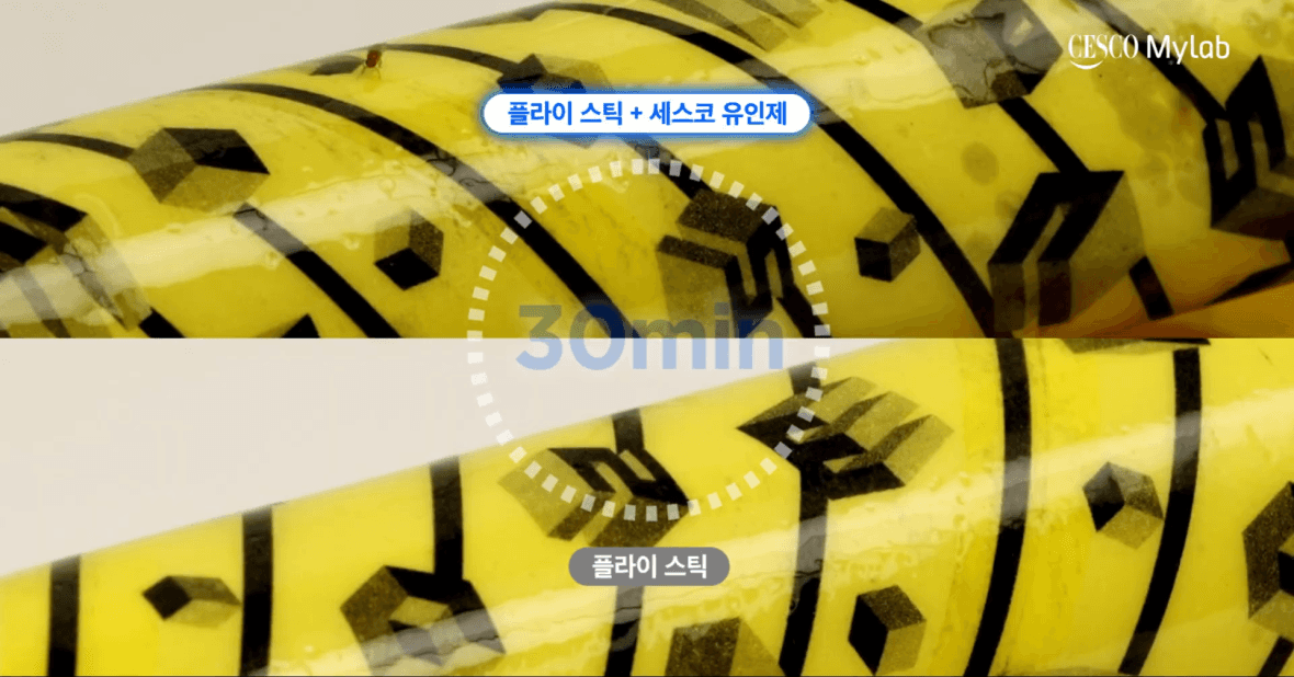 초파리 끈끈이 gif 이미지