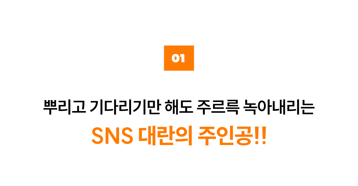 01. SNS 대란 특가